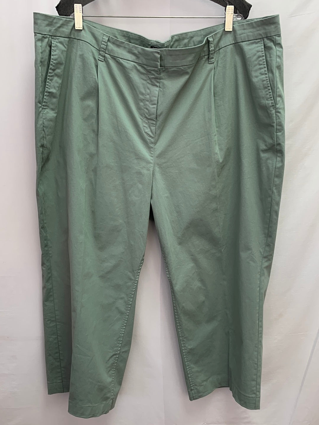 NWT - J CREW sage green Pleated Capeside Cropped Chino Pants - 24