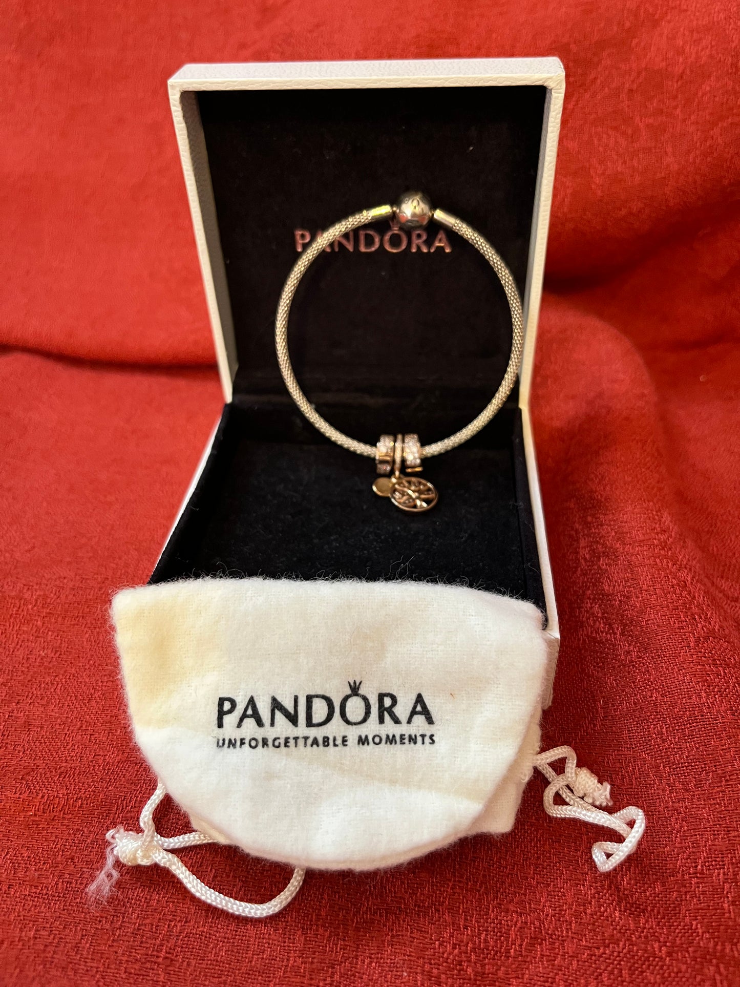 Pandora "Family" Bracelet