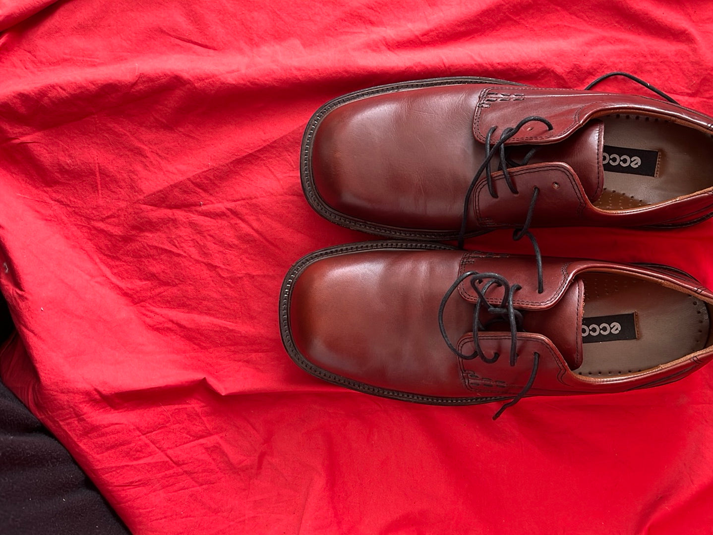 Ecco shoes 43 Clearance