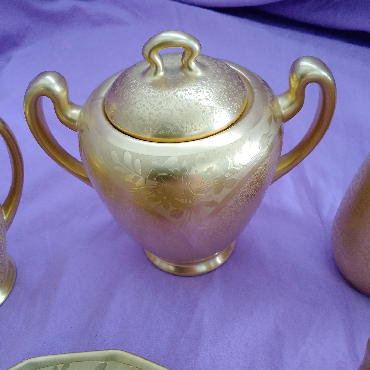 Vintage Gold Encrusted Etched Porcelain 10 piece Set - Flower Design