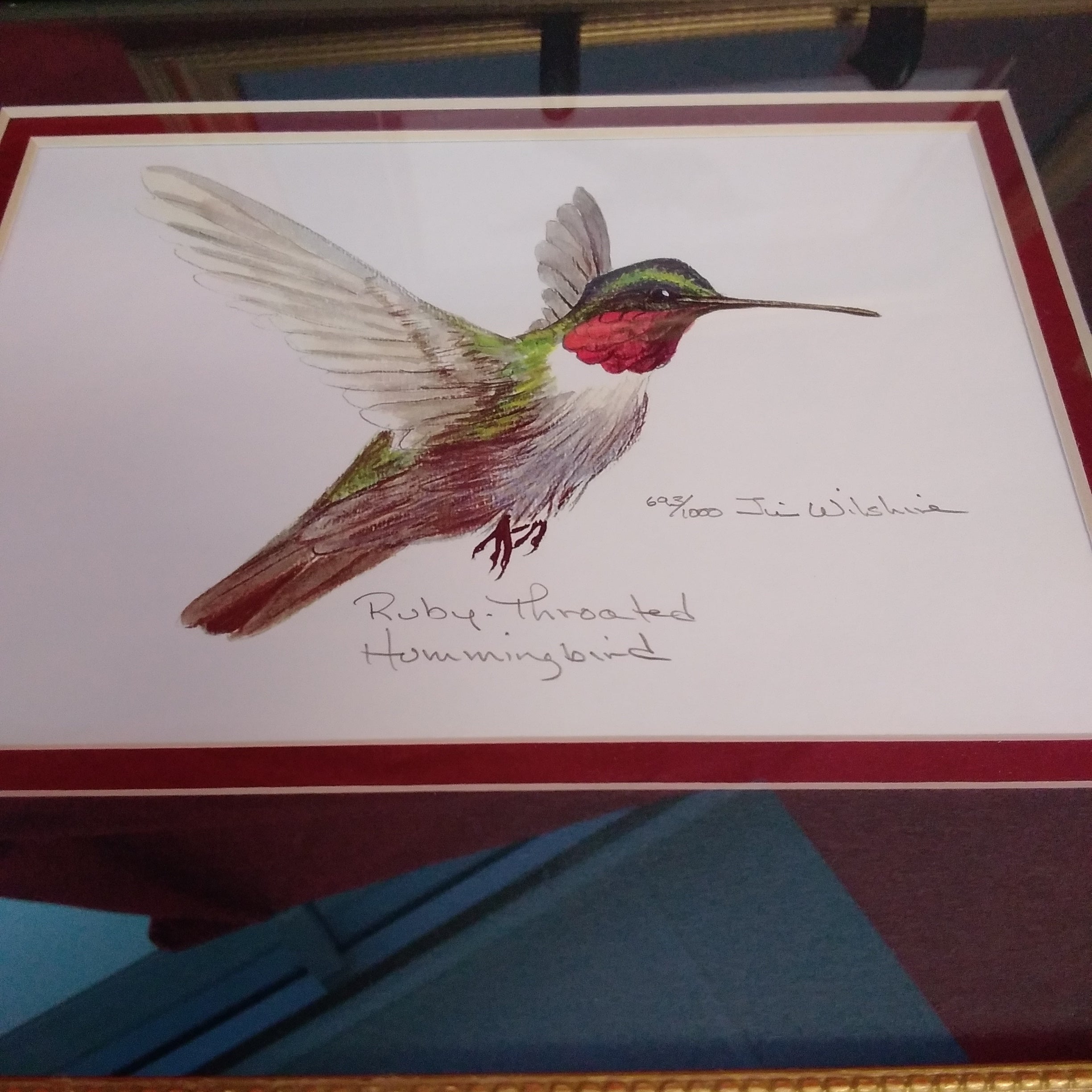 Beautiful Vintage order Signed Hummingbird Framed Photograph