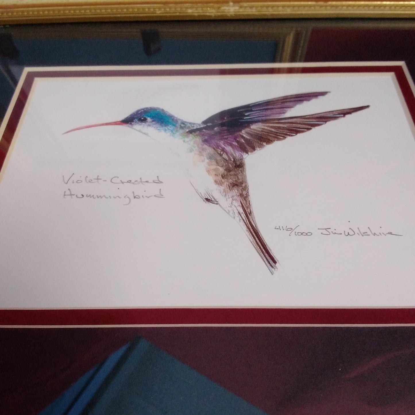 Lot of 4 Framed Signed and Numbered Hummingbird Prints by Jim Wilshire