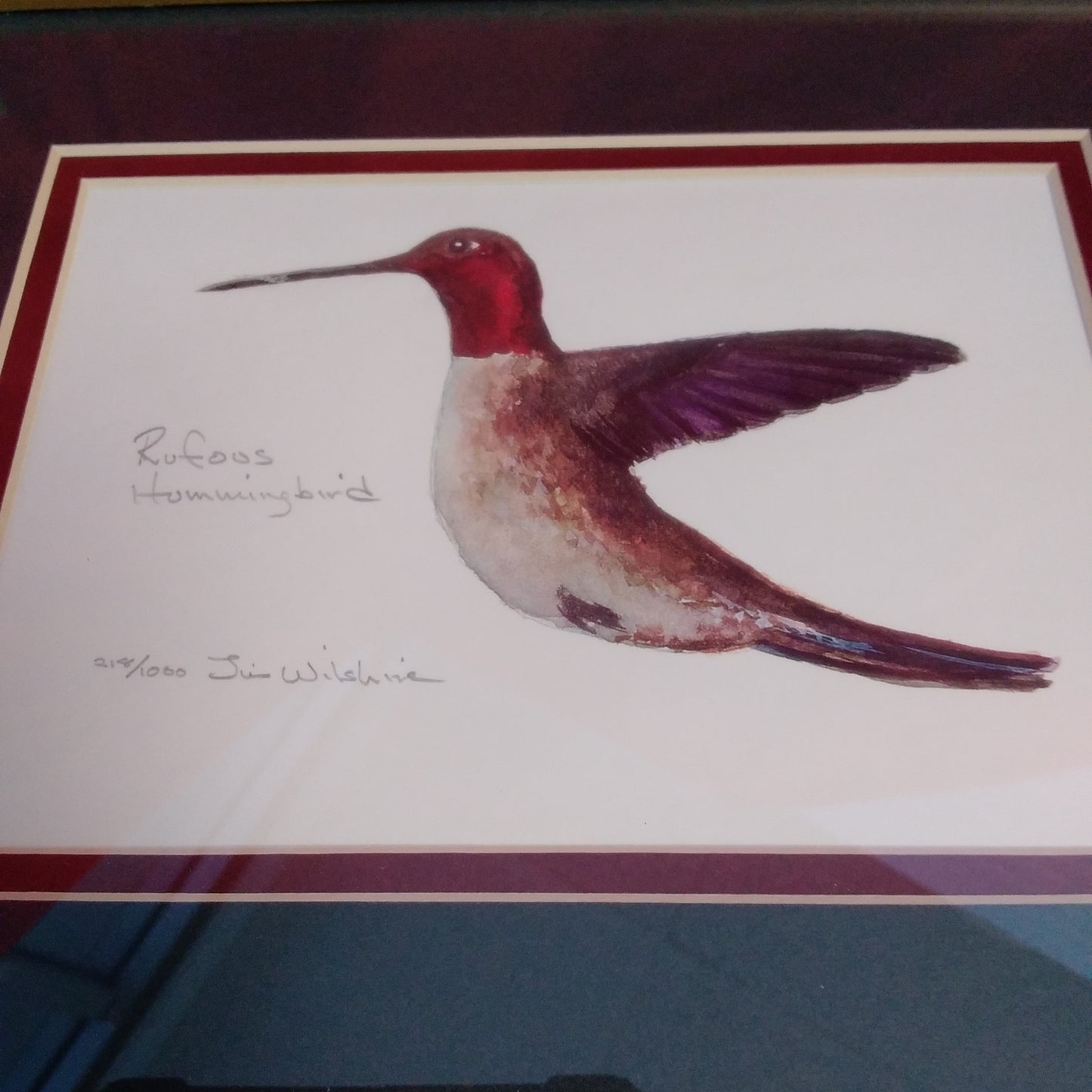 Lot of 4 Framed Signed and Numbered Hummingbird Prints by Jim Wilshire