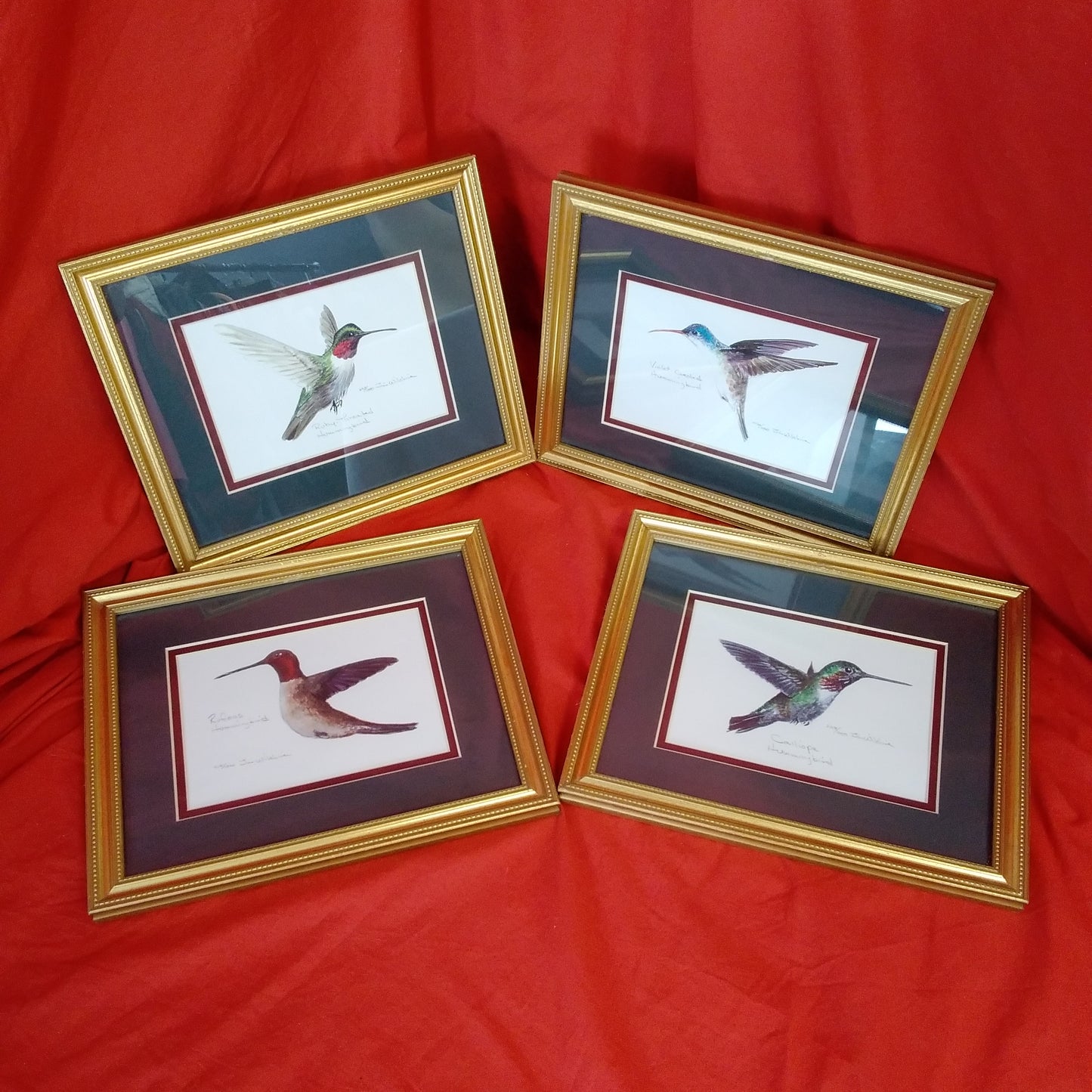 Lot of 4 Framed Signed and Numbered Hummingbird Prints by Jim Wilshire