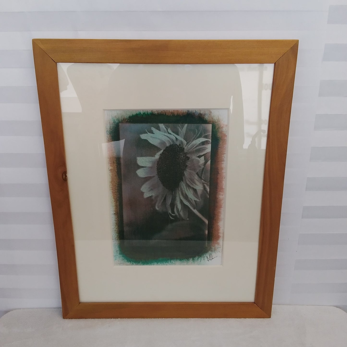 Framed "Sunflower 3" Gum Bichromate Photograph by Alan Dehmer