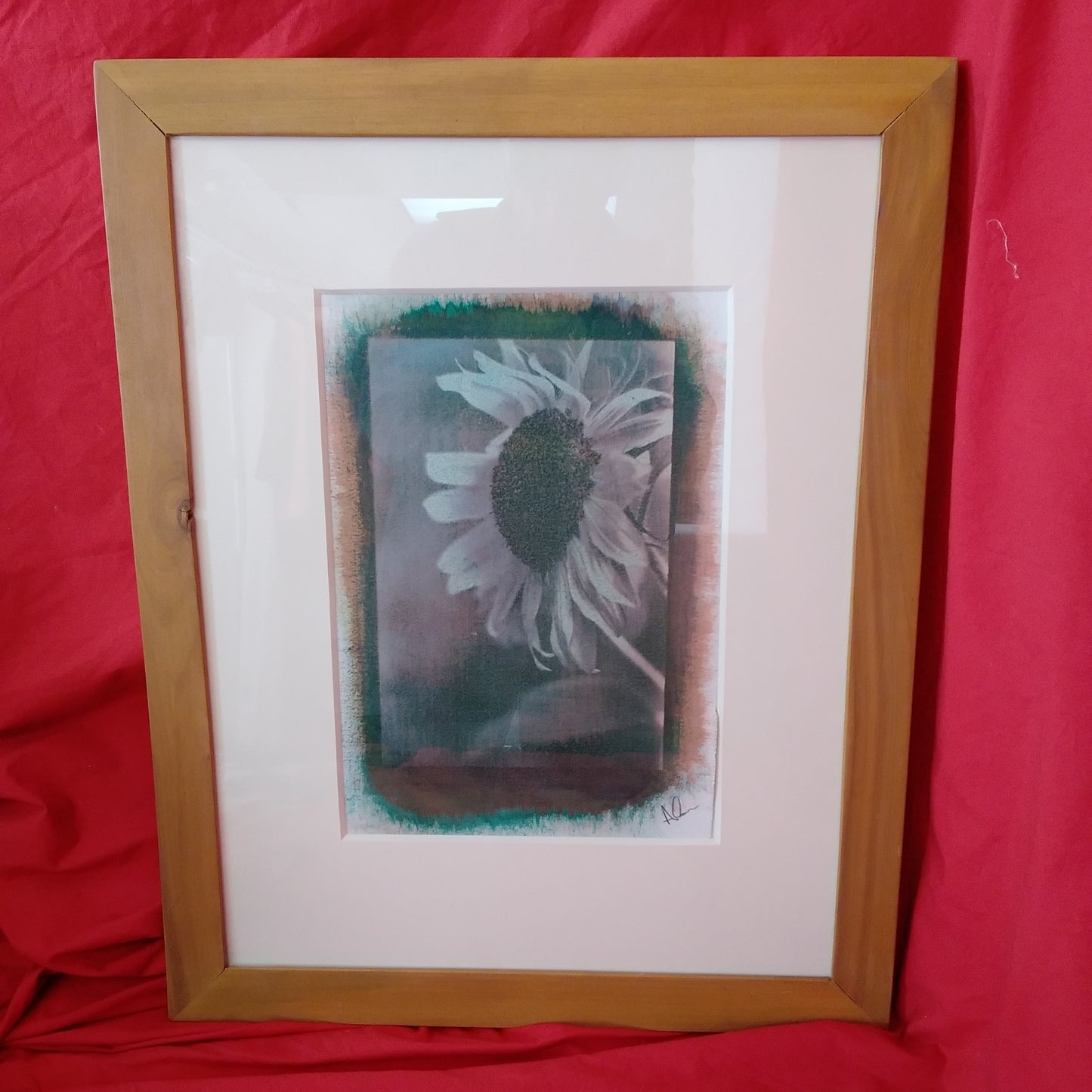 Framed "Sunflower 3" Gum Bichromate Photograph by Alan Dehmer