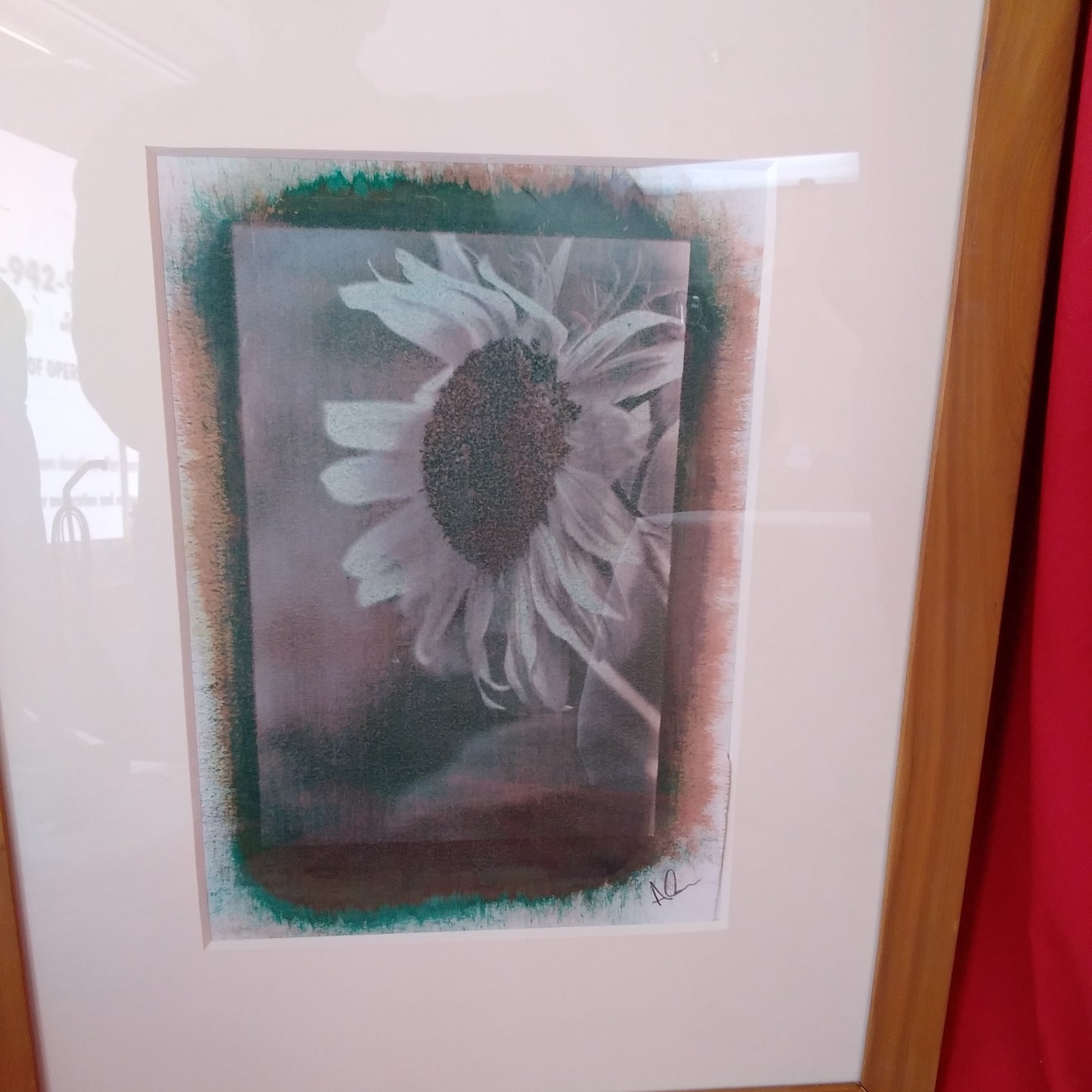 Framed "Sunflower 3" Gum Bichromate Photograph by Alan Dehmer