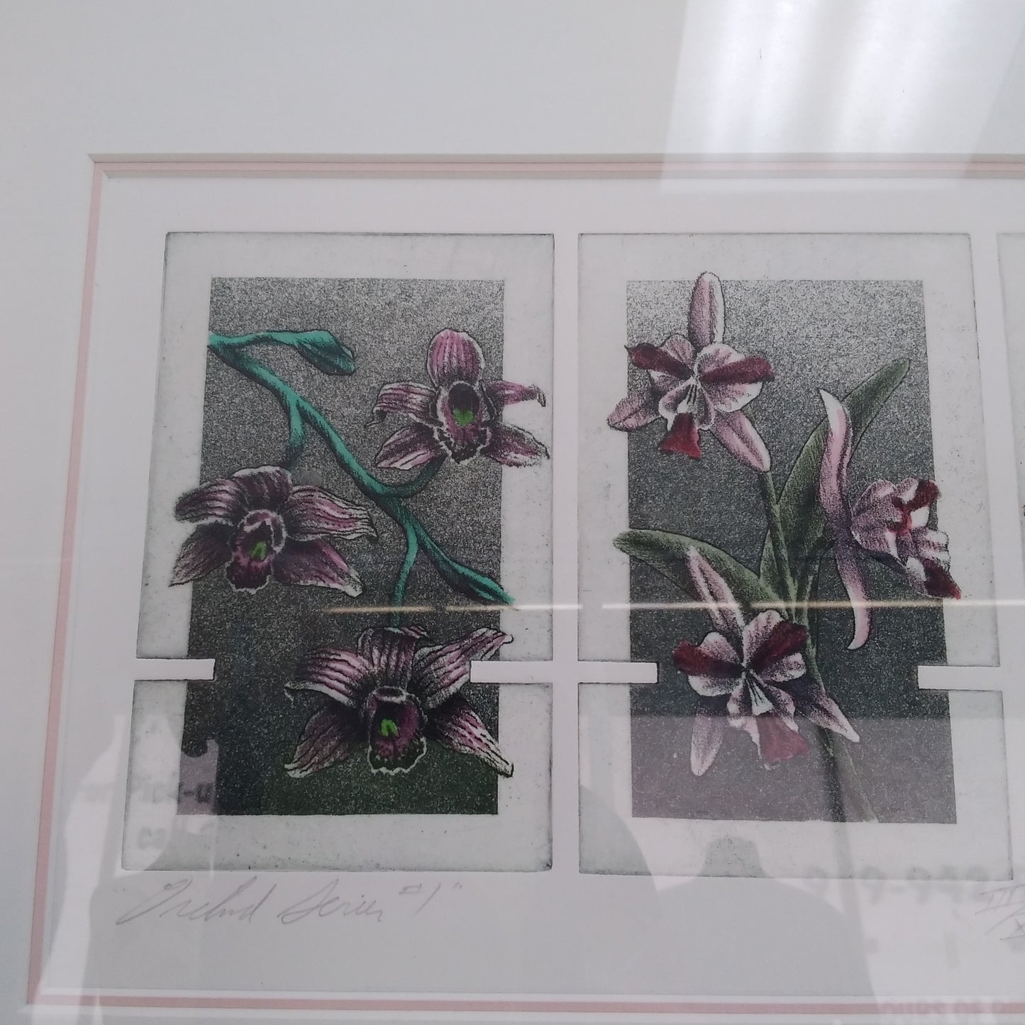 Georgia Costin Original Framed Drawings -- Orchid Series #1