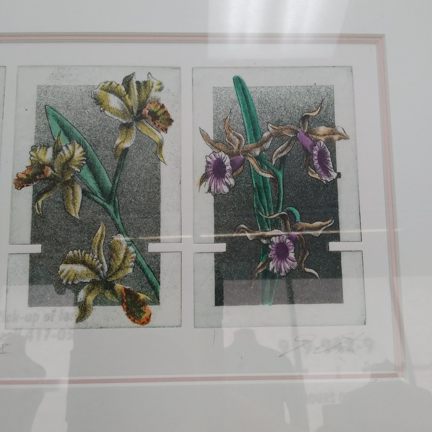 Georgia Costin Original Framed Drawings -- Orchid Series #1