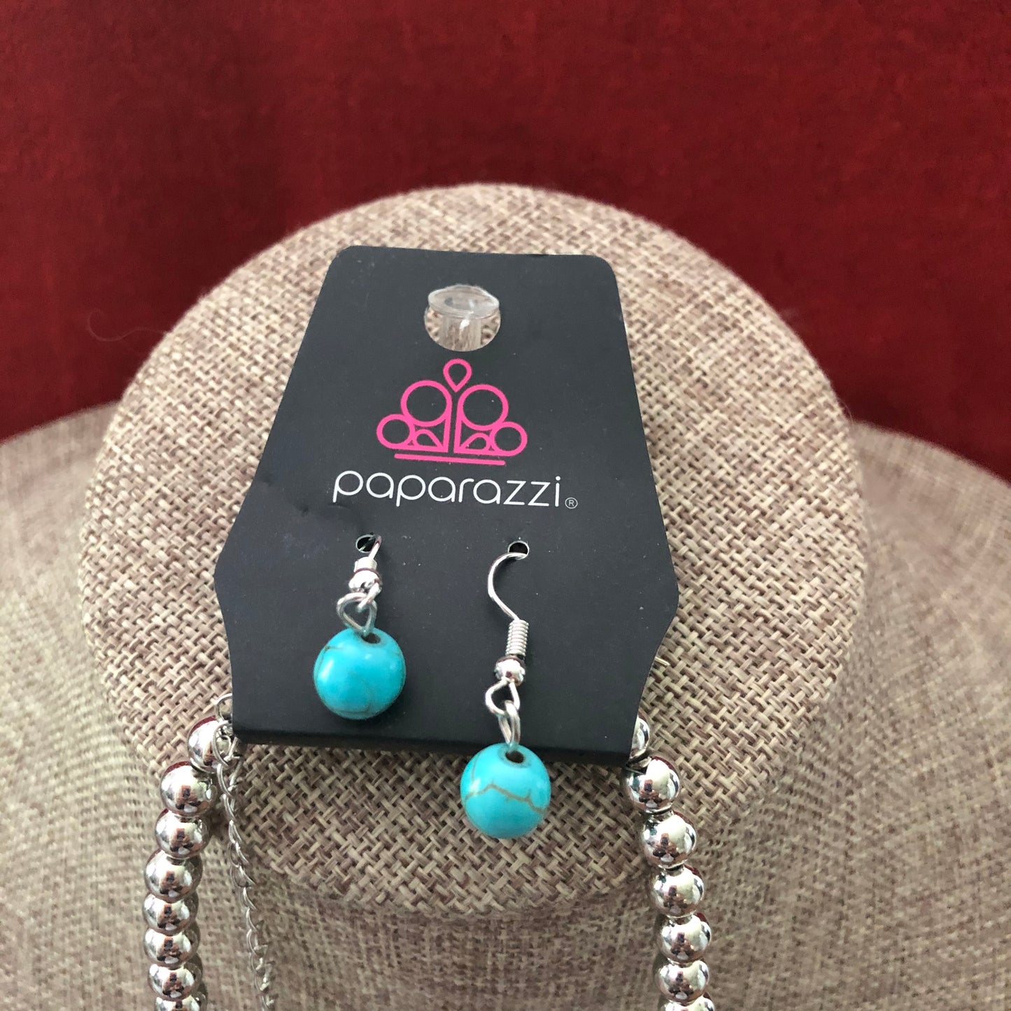 Paparazzi Necklace and Earring Set