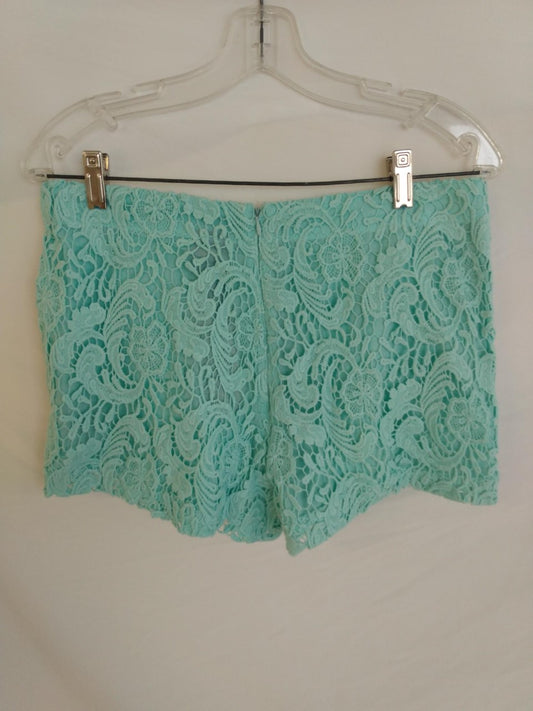 Francesca's Blue Rain Zippered Shorts- Size: M- NEW