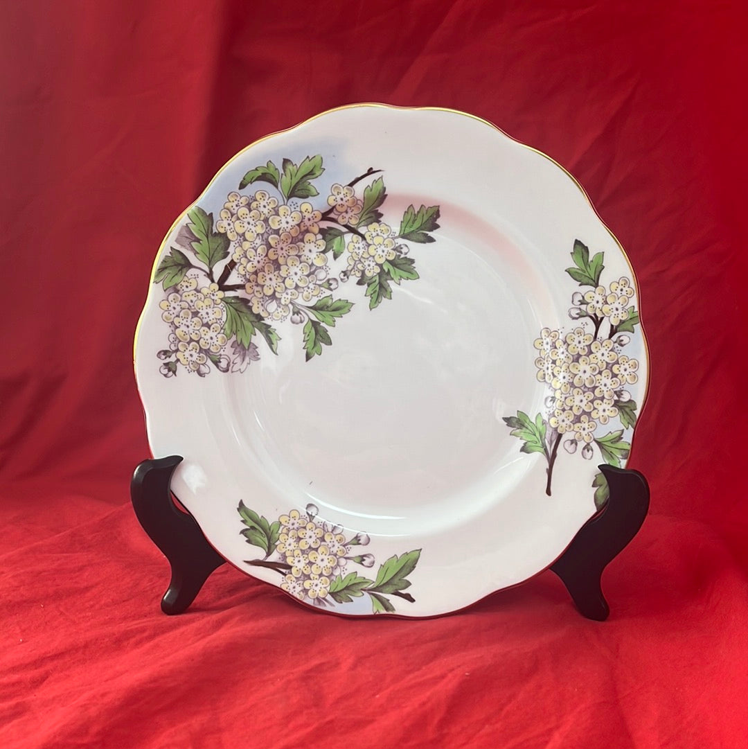 VTG (1950s) -- Royal Albert China Flower of the Month Series, "Hawthorn No. 5" Pattern Salad/Luncheon Plate