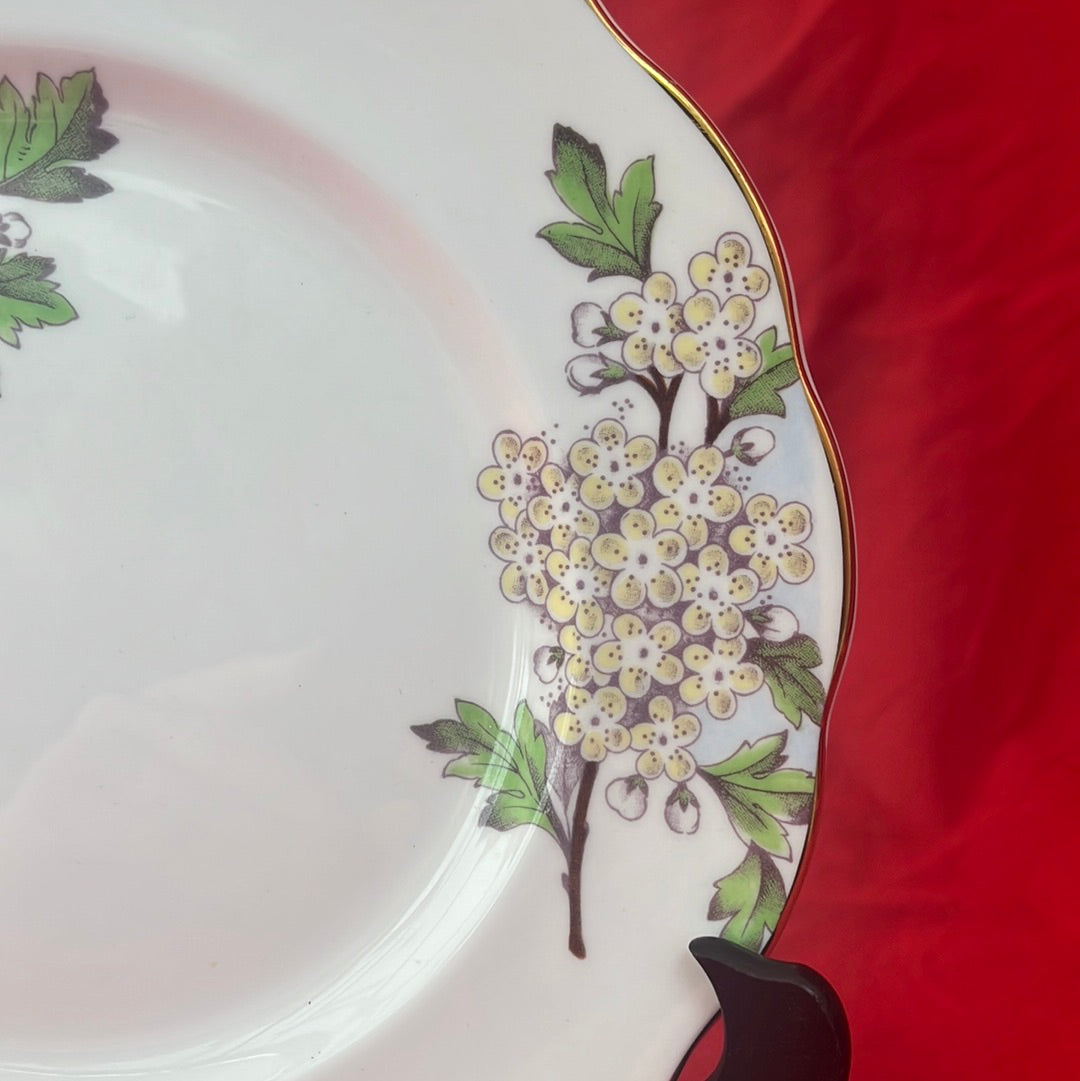 VTG (1950s) -- Royal Albert China Flower of the Month Series, "Hawthorn No. 5" Pattern Salad/Luncheon Plate