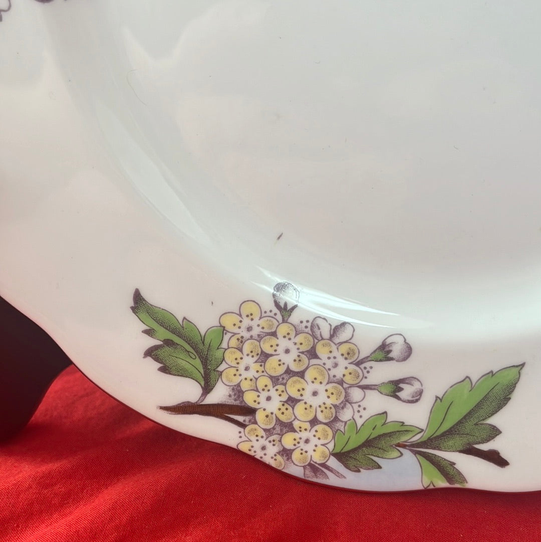 VTG (1950s) -- Royal Albert China Flower of the Month Series, "Hawthorn No. 5" Pattern Salad/Luncheon Plate