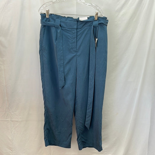 NWT -- Express Blue Linen High Rise Ankle Pants -- L