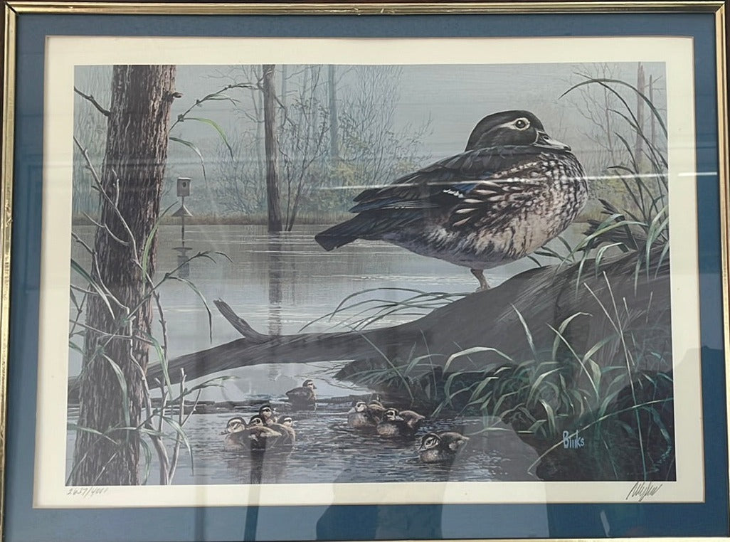 SIGNED AND FRAMED -- Bob Binks -- "Wood Ducks - New Arrivals," 2637/4000 -- 1988