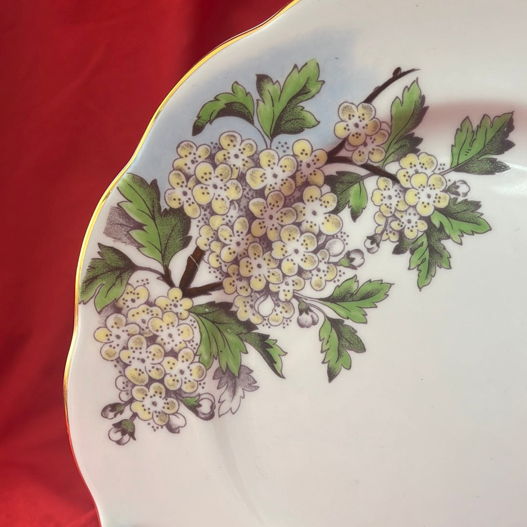 VTG (1950s) -- Royal Albert China Flower of the Month Series, "Hawthorn No. 5" Pattern Salad/Luncheon Plate