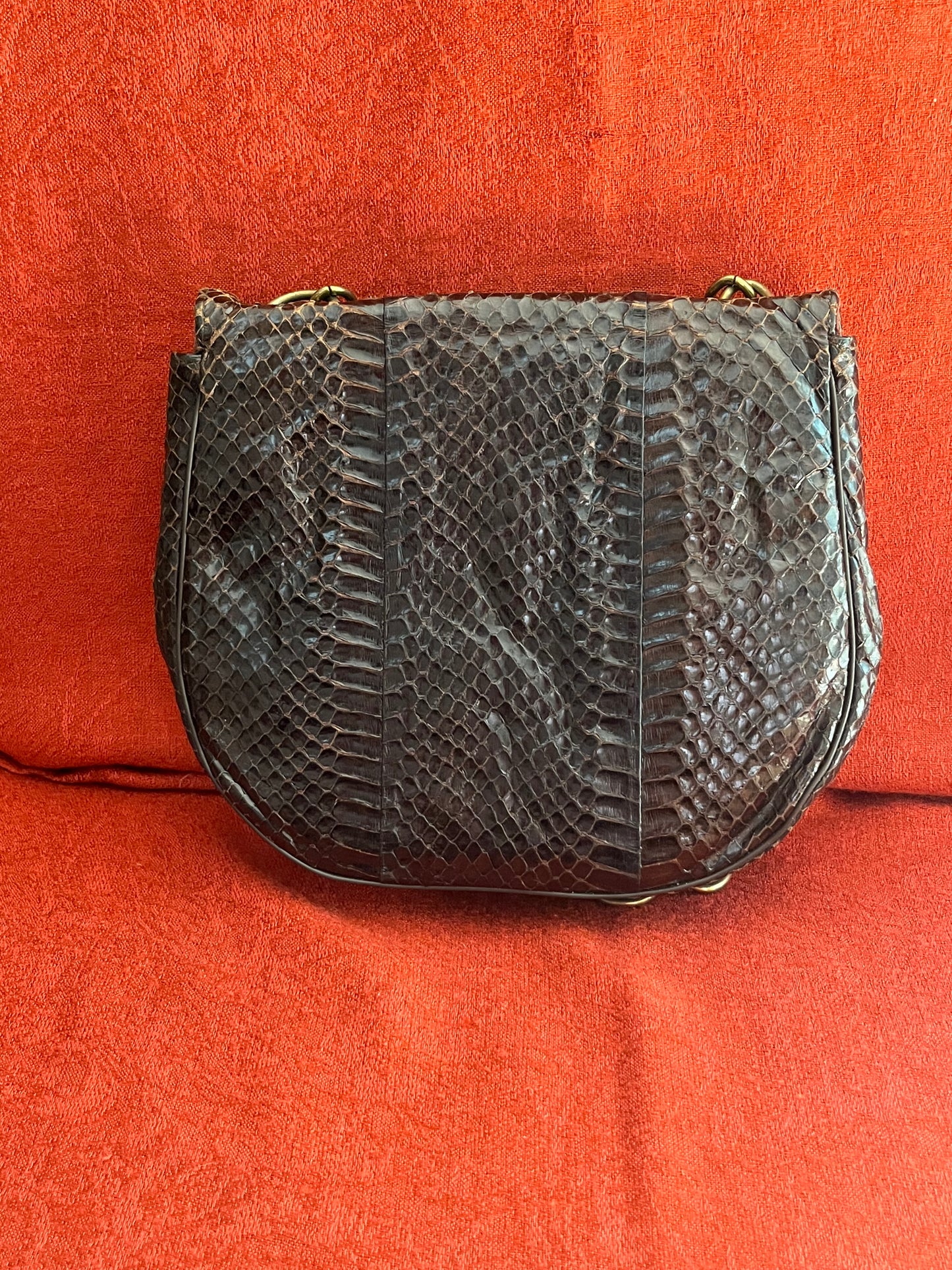Vintage Snakeskin Bag with Brass Chain